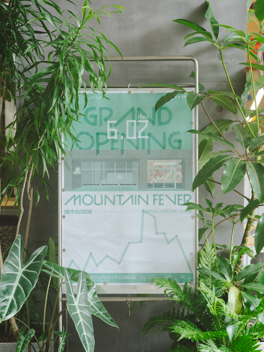 MOUNTAINFEVER 