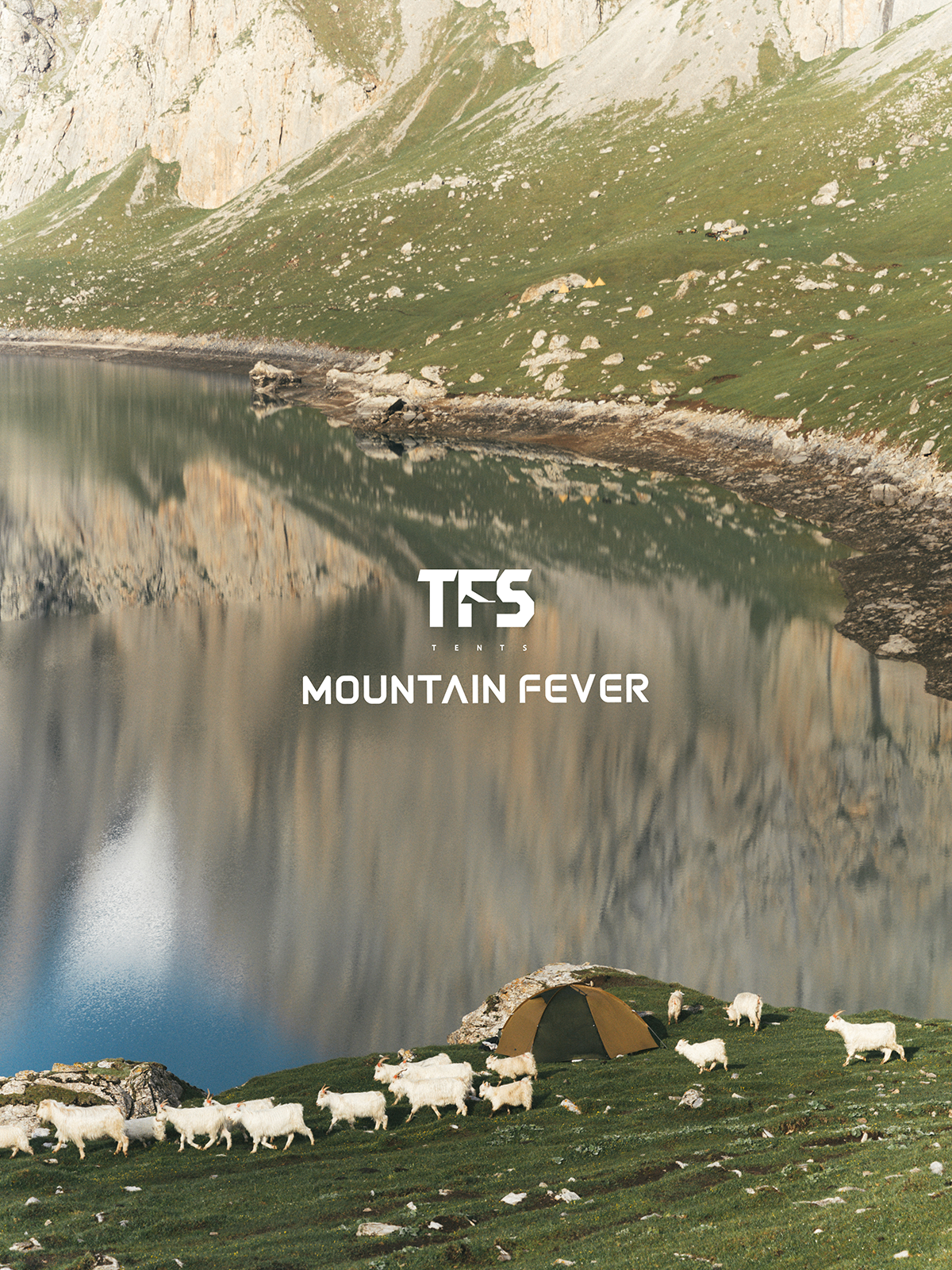 MOUNTAINFEVER 