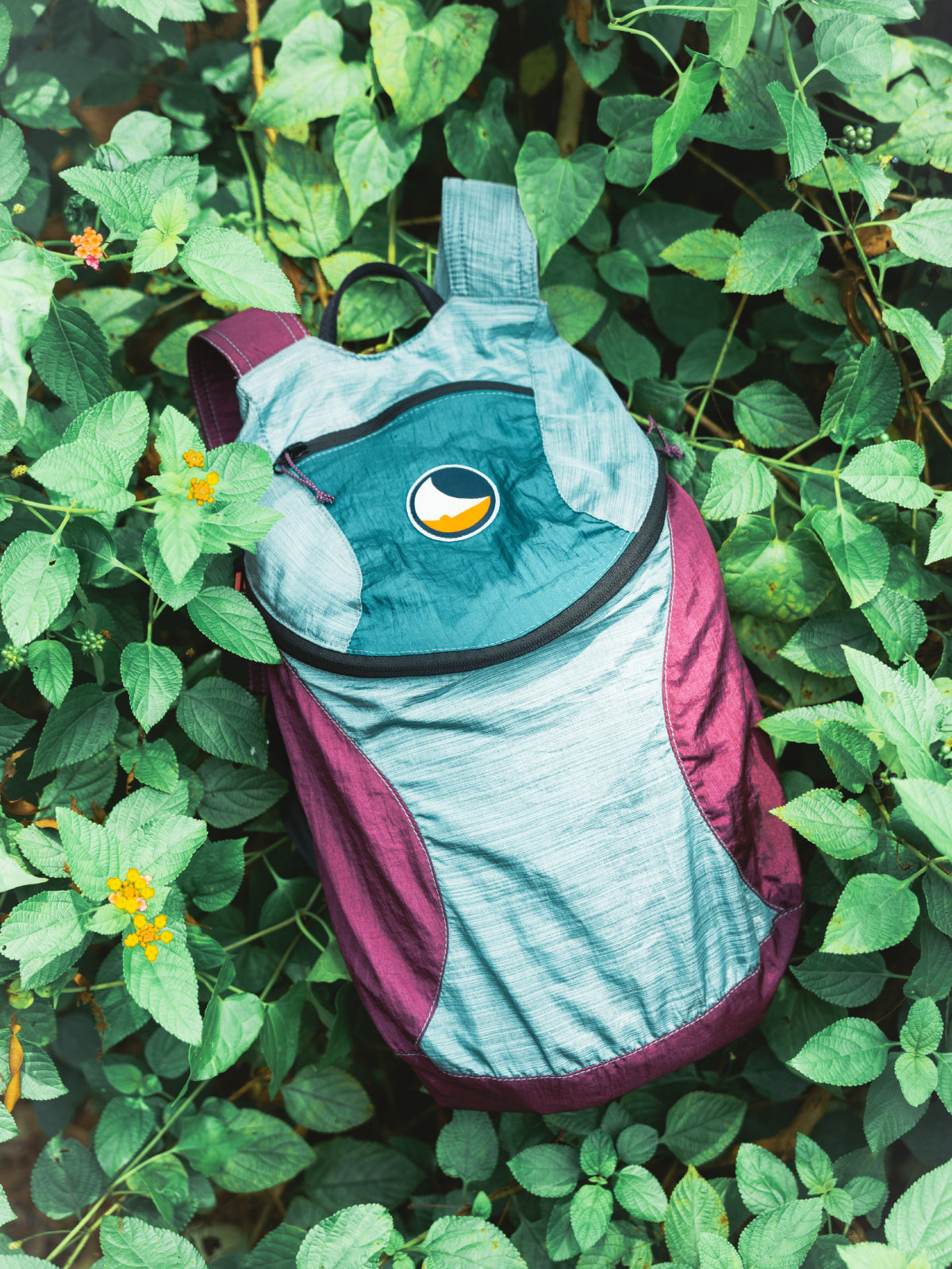 Foldable Backpack