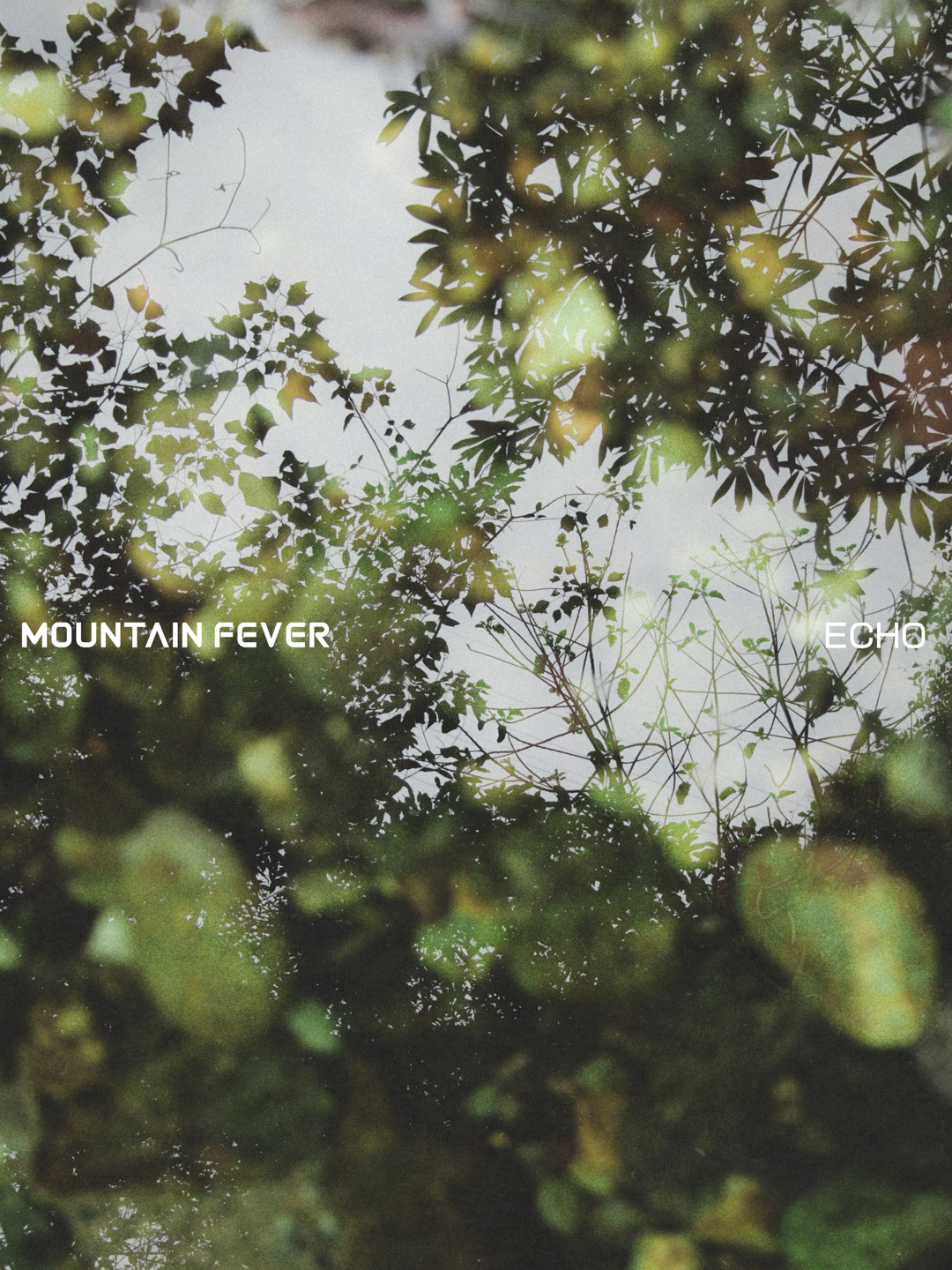 MOUNTAINFEVER 