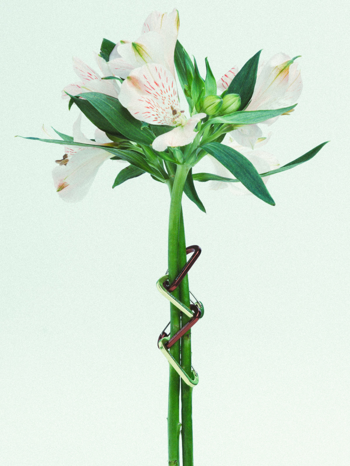 Lightweight Carabiner