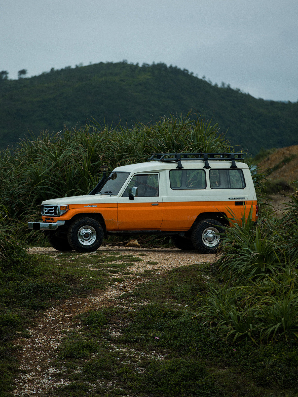 MOUNTAINFEVER 