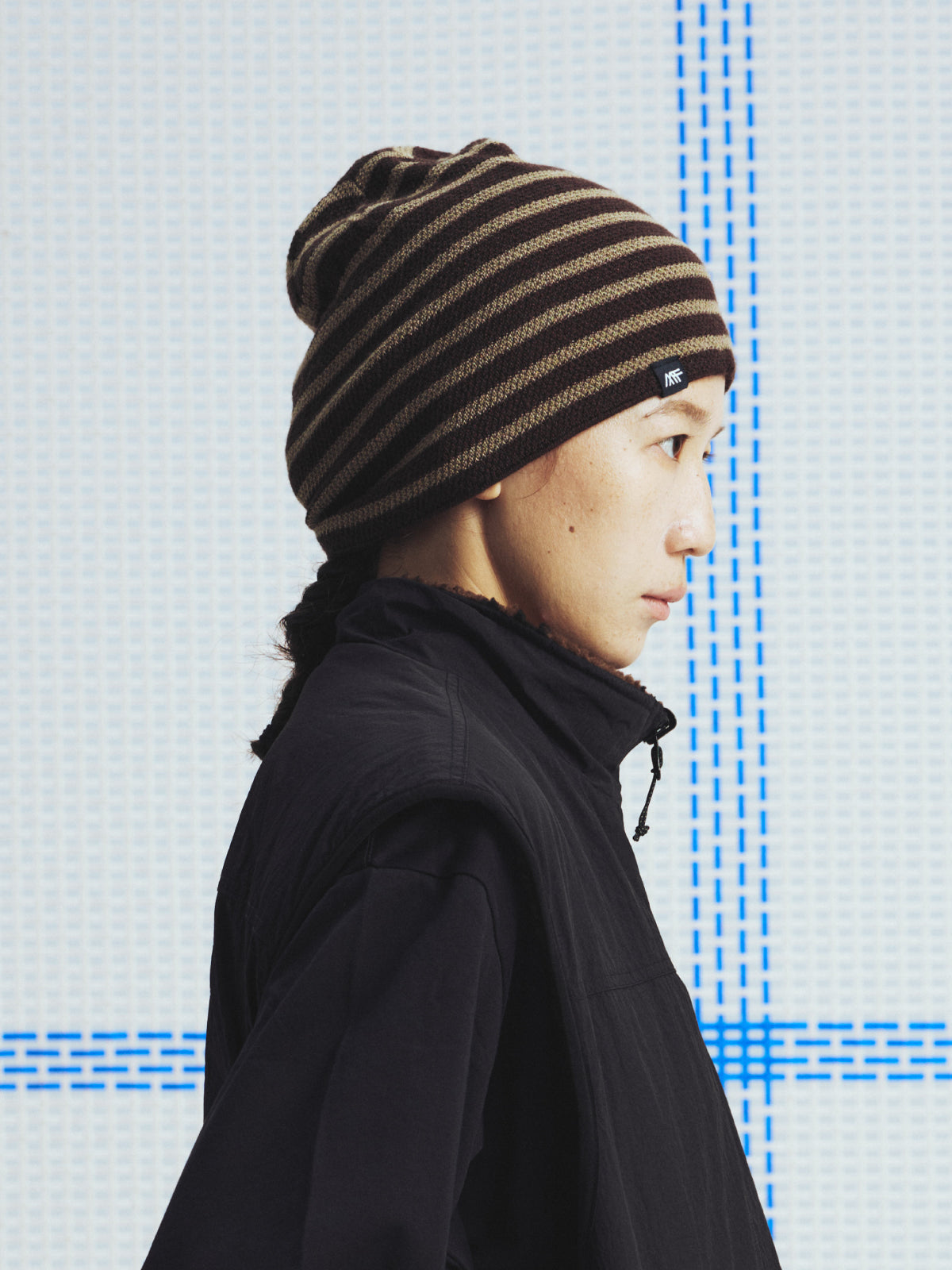 Mountain Stripe Beanie