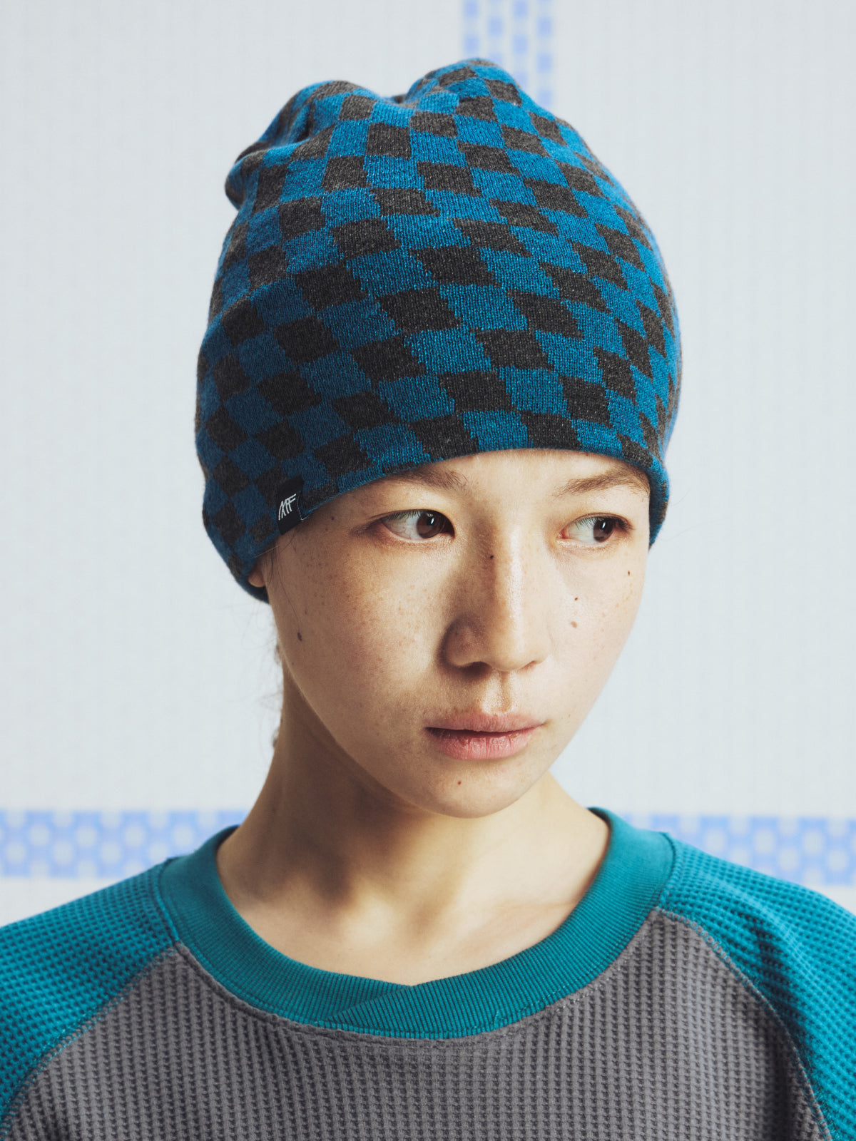 Mountain Island Reversible Beanie