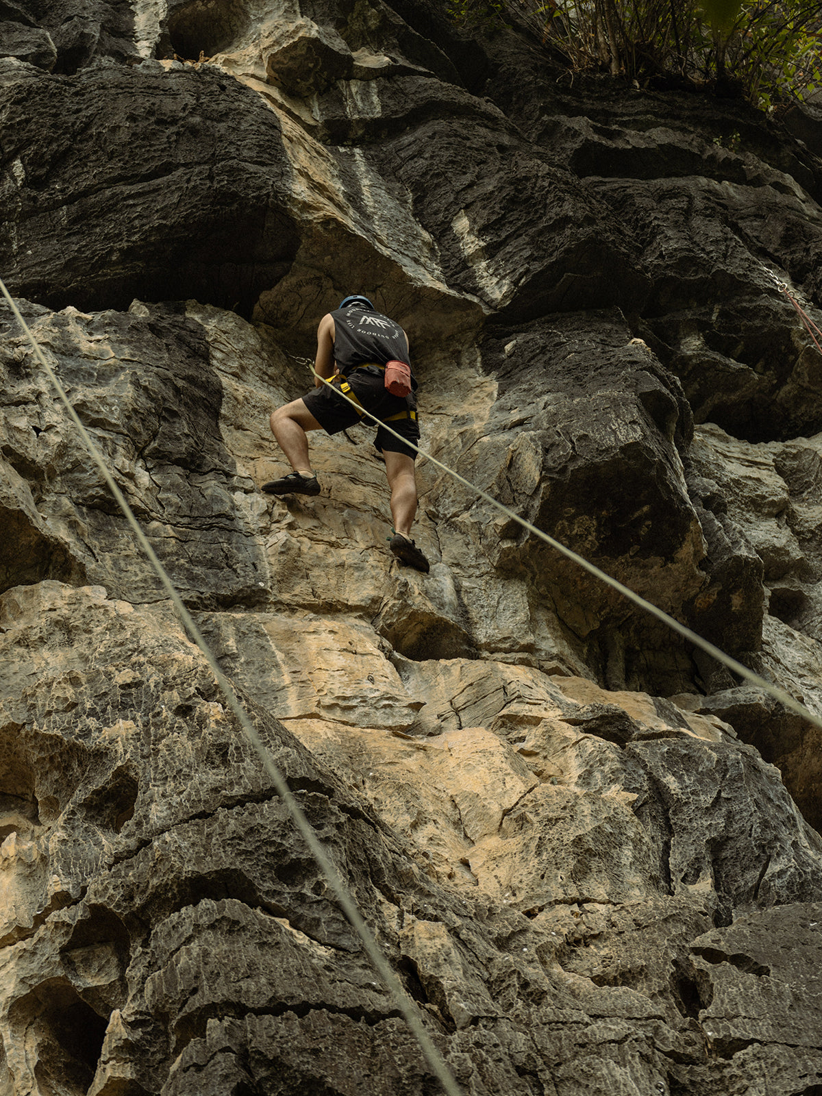 MOUNTAINFEVER 