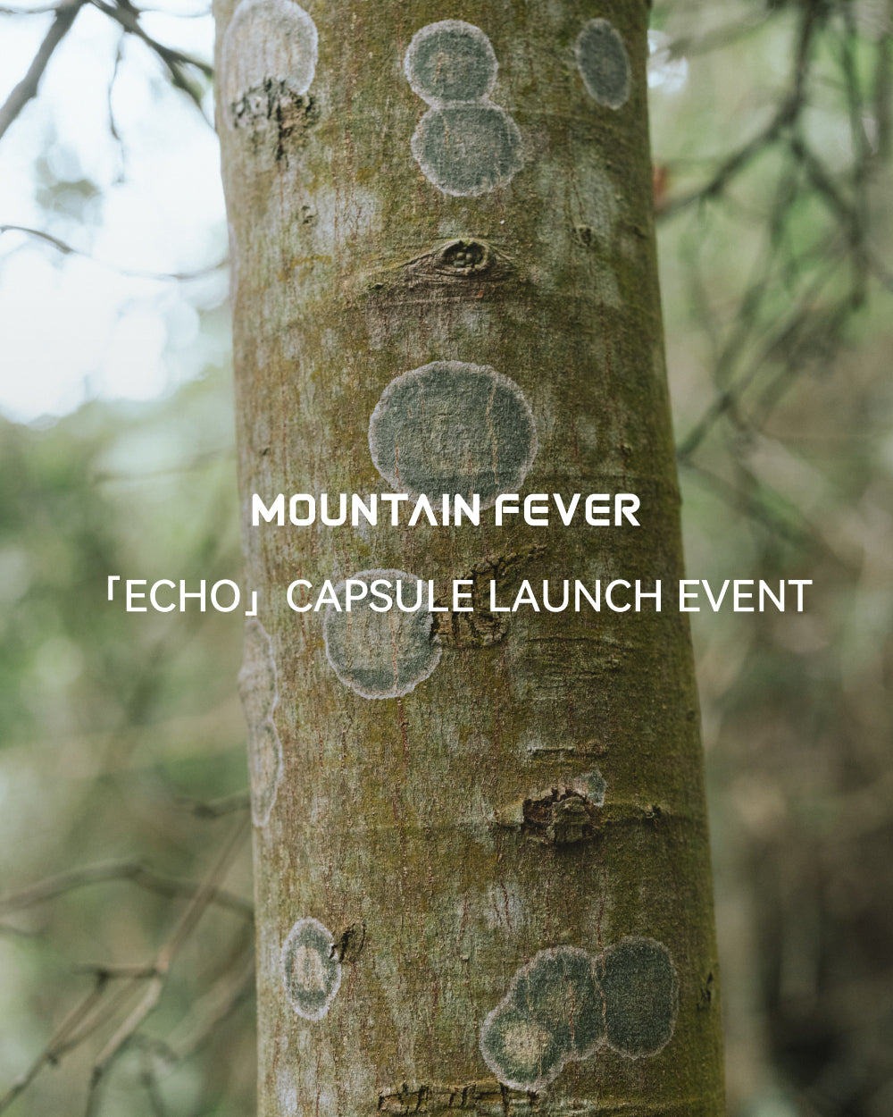 MOUNTAINFEVER 